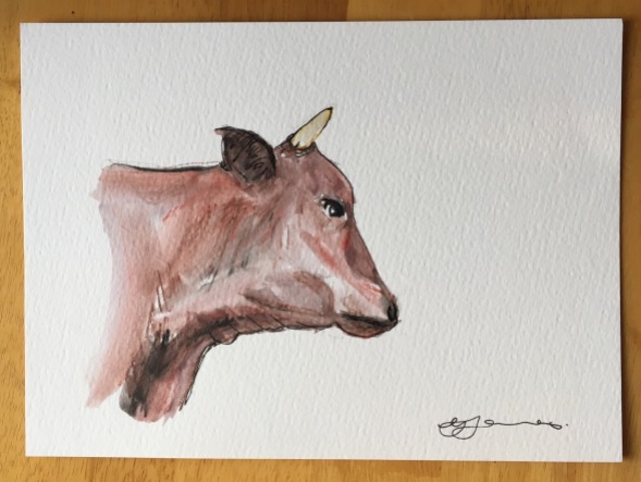 Cow sketch 001