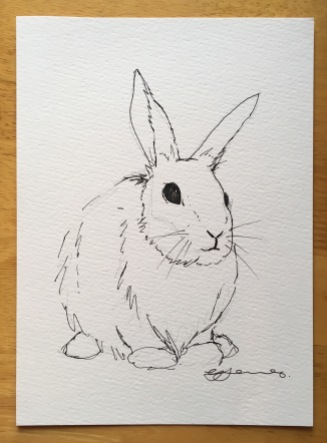 Rabbit sketch 001