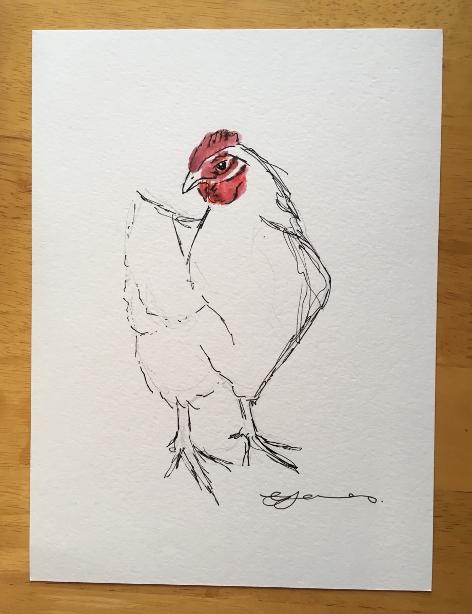 Chicken sketch 001